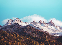 张雪之下，暗流涌动