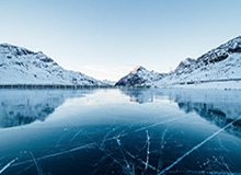张雪之下，暗流涌动