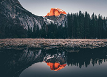 张雪之下，暗流涌动